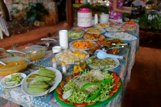 Luncheon Spread at Organic Farm 