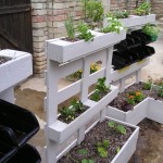 The Caterer's Garden - an Update
