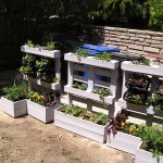 Update on the Caterer's Garden