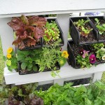 The Caterer's Garden- The End Product