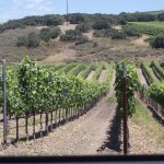 Santa Barbara Getaway- Part 4 - Foley Wines and Ollalieberry Cobbler