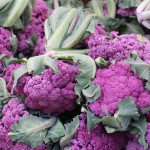 A Purple Season at The Farmers' Market