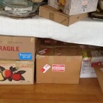 My (Almost) Top 10 Thoughts on Packing