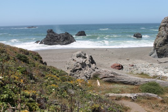 My driftwood seat on the Sonoma Coast