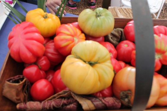 Heirloom Tomatoes at Kendall Jackson