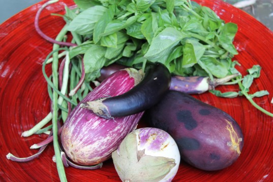 Eggplant, Basil and Long Beans from Hollygrove Farm