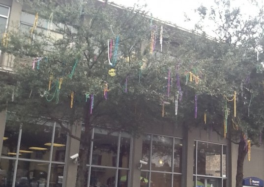 Mardi Gras Bead Tree