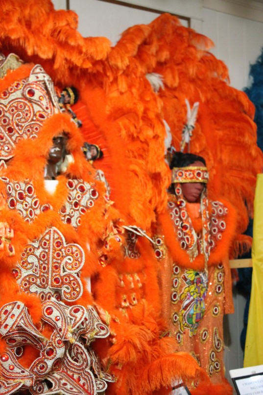 Mardi Gras indian Costume
