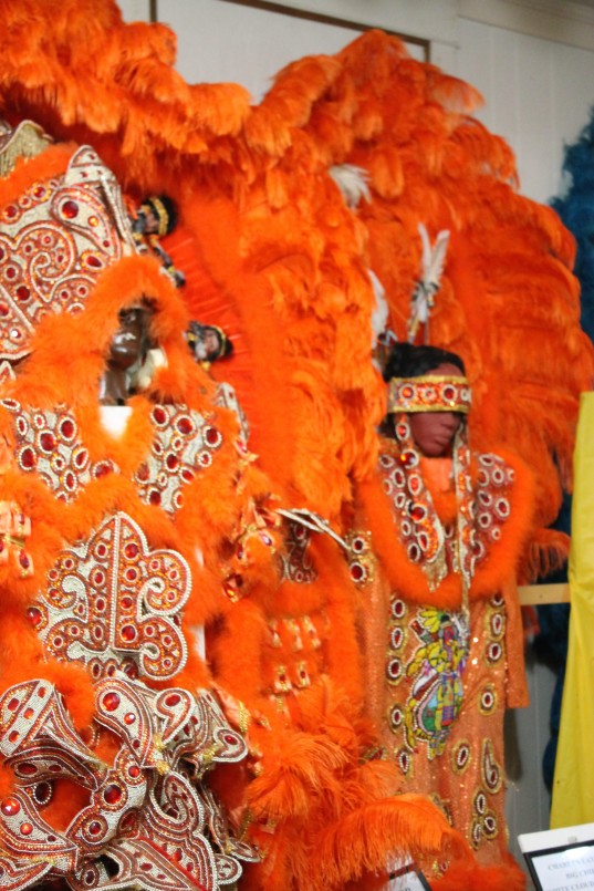 Mardi Gras indian Costume