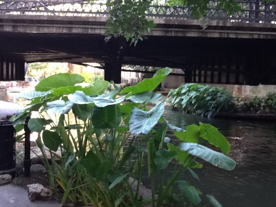 San Antonio's Riverwalk