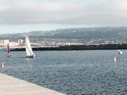 The View from Baleen's Lounge in Redondo Beach