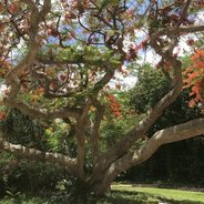 Visiting Hacienda Petac