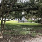 Rediscovering My Neighborhood - Algiers Point, New Orleans - and Transforming Myself
