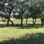 Driving Through the Hill Country of Texas - and Visiting the LBJ Ranch