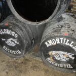 A Stop at Sánchez-Romate Bodega
