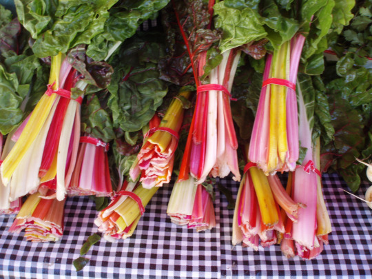 Swiss Chard