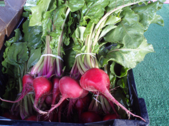 Pink Beets