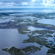 Reflections in the Wake of the Gulf Coast Spill -Part 1