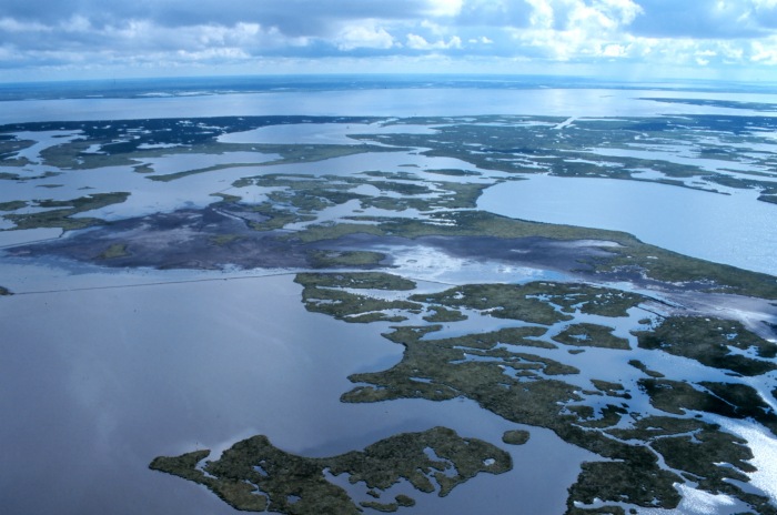 Coastal-wetlands_louisiana_noaa