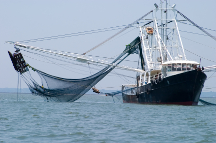 Shrimping Boat