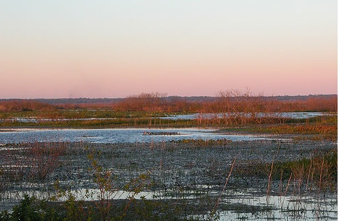 Louisiana Wetlands