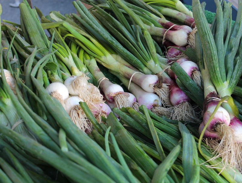 Spring Onions