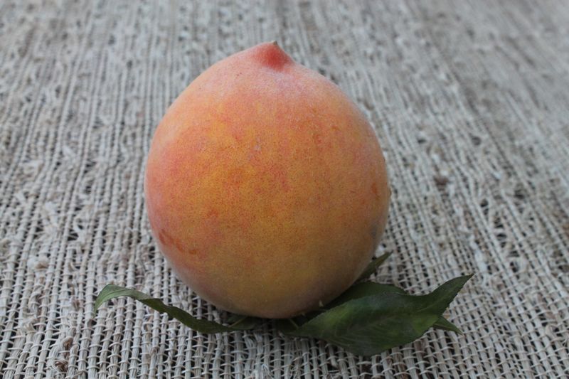 Elberta Peach