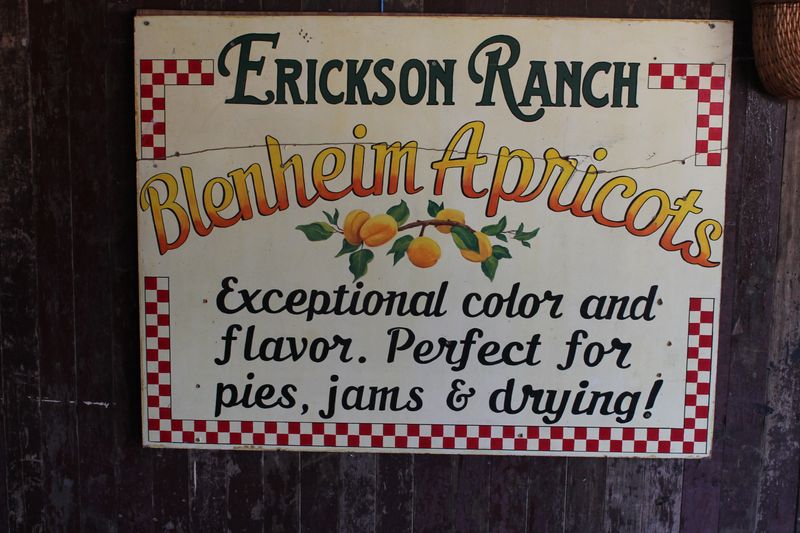 Welcome to Erickson Ranch