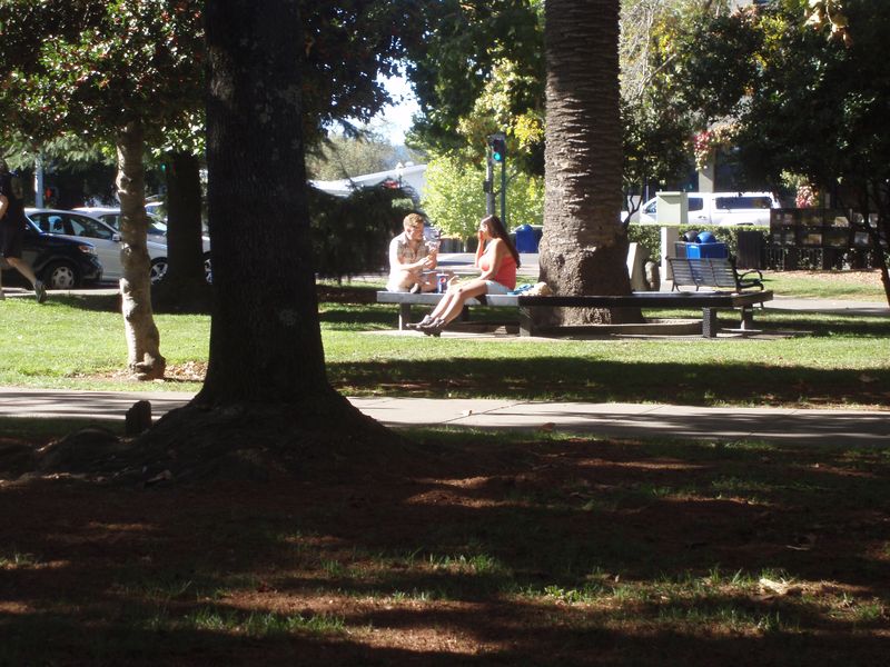 A young couple share lunch in Healdsburg's town plaza