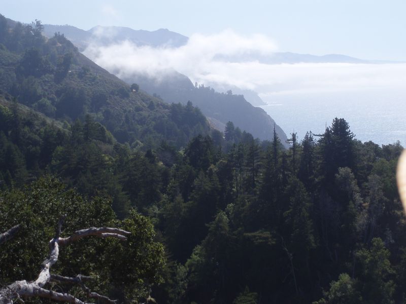 View from the deck at Nepenthe, Big Sur