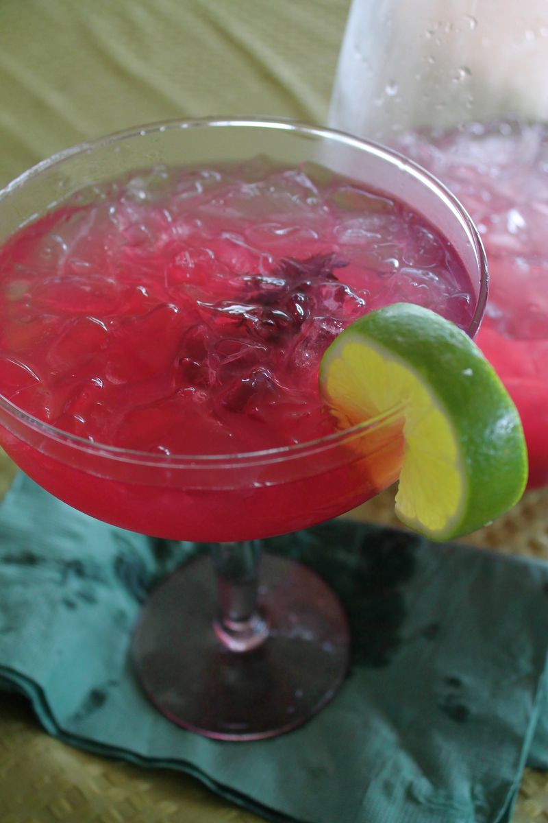 Wild Hibiscus Margaritas