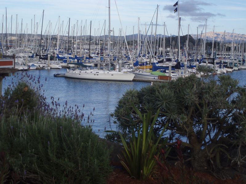 View from the Portola Hotel in Monterey